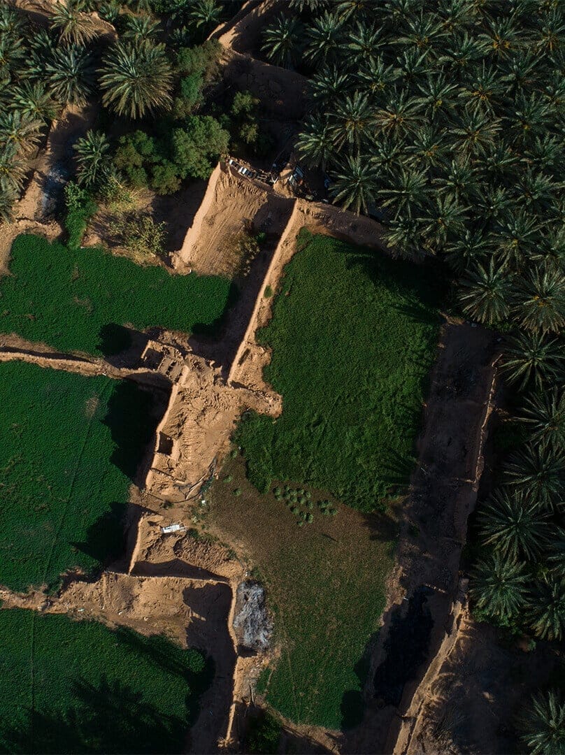 Agriculture à AlUla